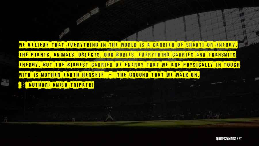 Amish Tripathi Quotes: We Believe That Everything In The World Is A Carrier Of Shakti Or Energy. The Plants, Animals, Objects, Our Bodies,