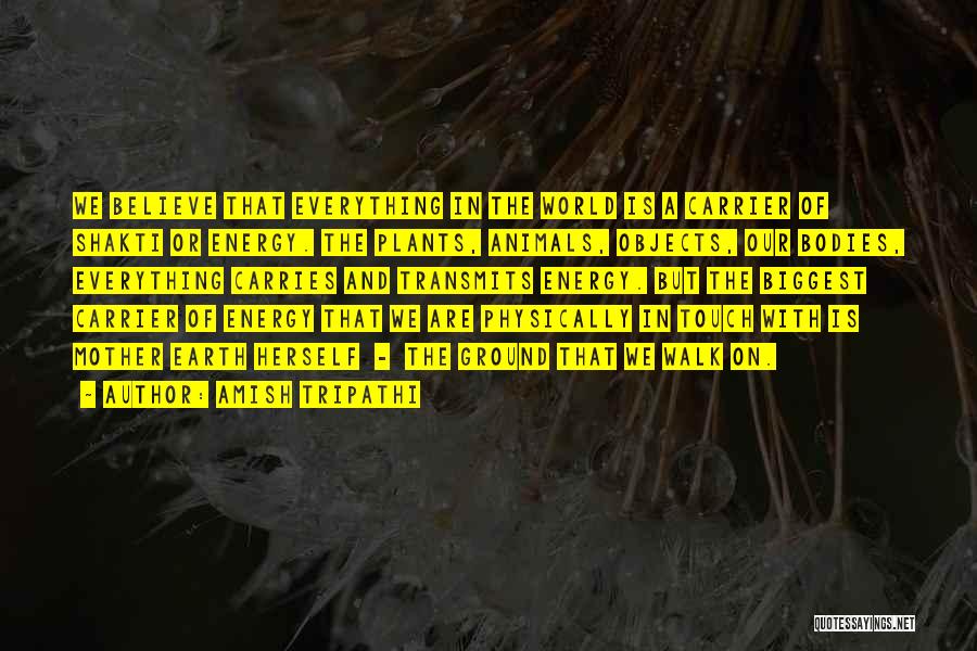 Amish Tripathi Quotes: We Believe That Everything In The World Is A Carrier Of Shakti Or Energy. The Plants, Animals, Objects, Our Bodies,