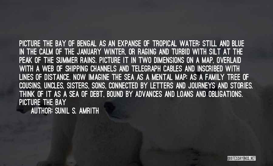 Sunil S. Amrith Quotes: Picture The Bay Of Bengal As An Expanse Of Tropical Water: Still And Blue In The Calm Of The January