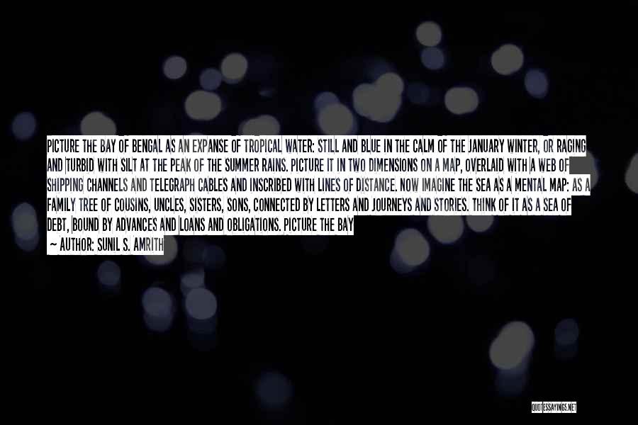 Sunil S. Amrith Quotes: Picture The Bay Of Bengal As An Expanse Of Tropical Water: Still And Blue In The Calm Of The January