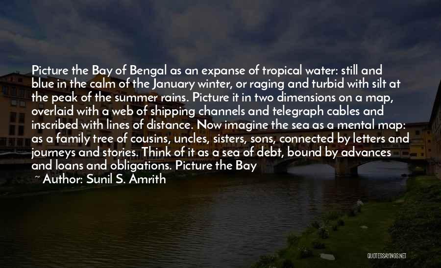 Sunil S. Amrith Quotes: Picture The Bay Of Bengal As An Expanse Of Tropical Water: Still And Blue In The Calm Of The January