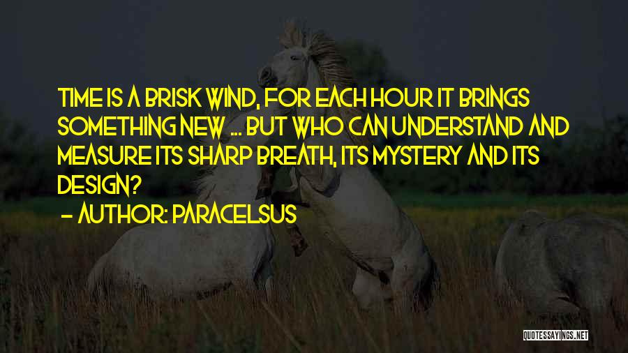 Paracelsus Quotes: Time Is A Brisk Wind, For Each Hour It Brings Something New ... But Who Can Understand And Measure Its