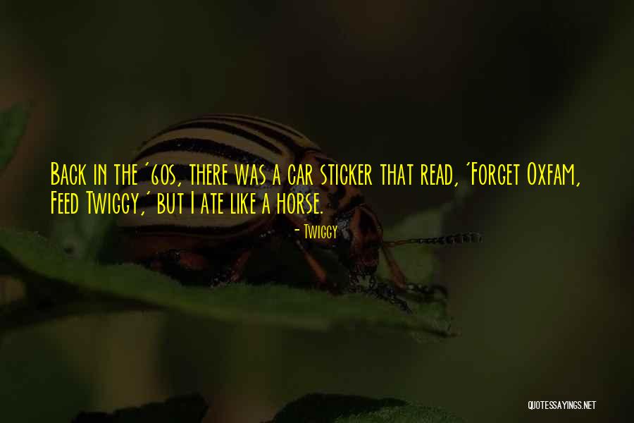 1914 1918 Horses Quotes By Twiggy 1914 1918 Horses Quotes By Twiggy