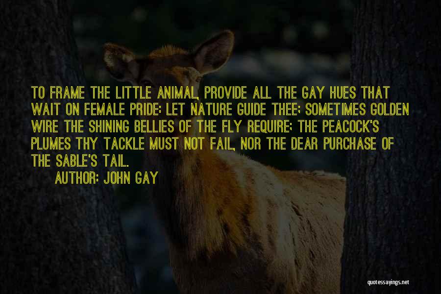 John Gay Quotes: To Frame The Little Animal, Provide All The Gay Hues That Wait On Female Pride: Let Nature Guide Thee; Sometimes