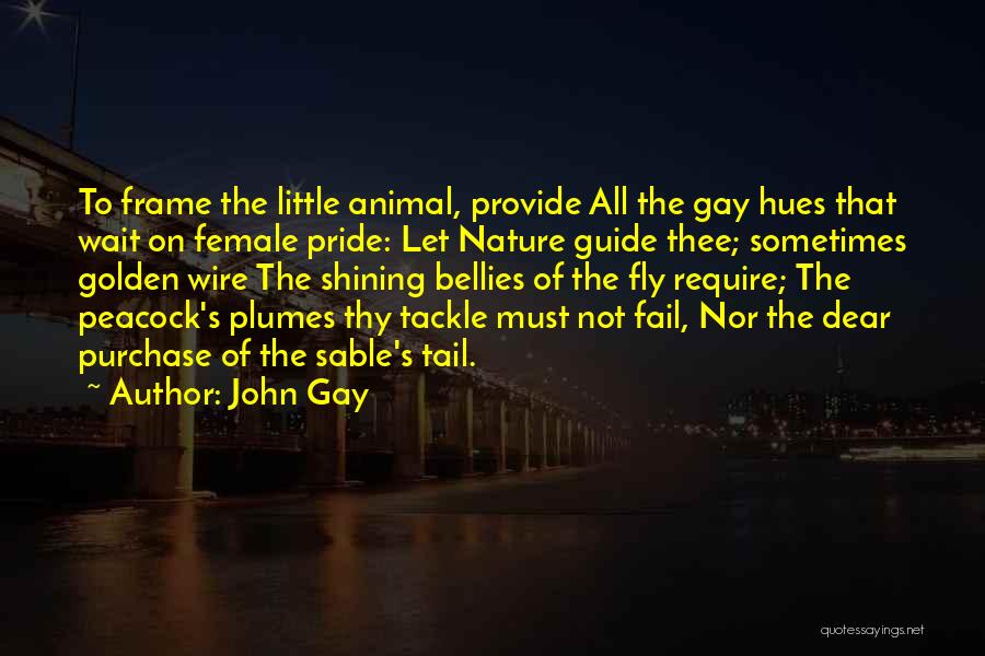 John Gay Quotes: To Frame The Little Animal, Provide All The Gay Hues That Wait On Female Pride: Let Nature Guide Thee; Sometimes