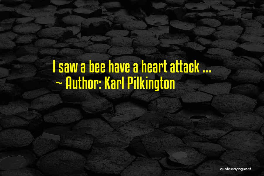 Karl Pilkington Quotes: I Saw A Bee Have A Heart Attack ...