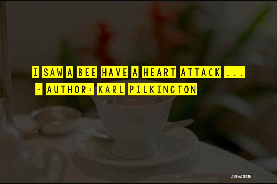 Karl Pilkington Quotes: I Saw A Bee Have A Heart Attack ...