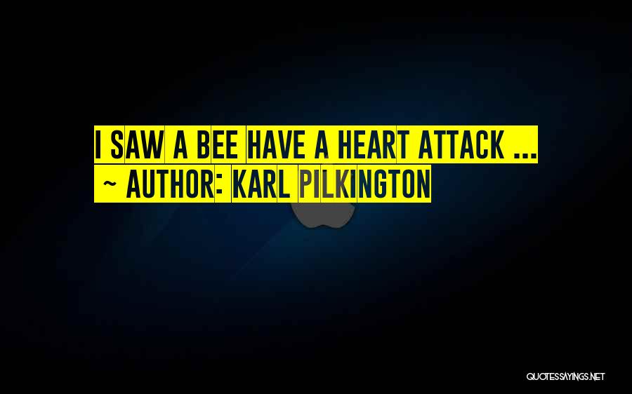 Karl Pilkington Quotes: I Saw A Bee Have A Heart Attack ...