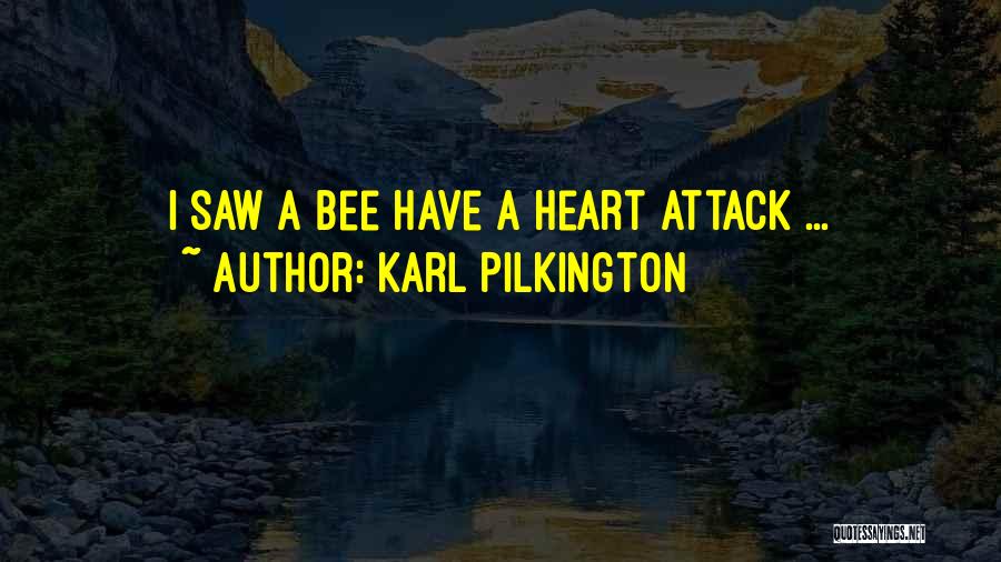 Karl Pilkington Quotes: I Saw A Bee Have A Heart Attack ...