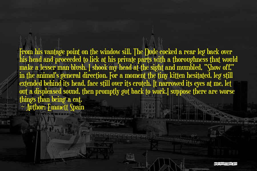 Emmett Spain Quotes: From His Vantage Point On The Window Sill, The Dude Cocked A Rear Leg Back Over His Head And Proceeded