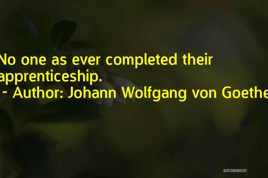 Johann Wolfgang Von Goethe Quotes: No One As Ever Completed Their Apprenticeship.