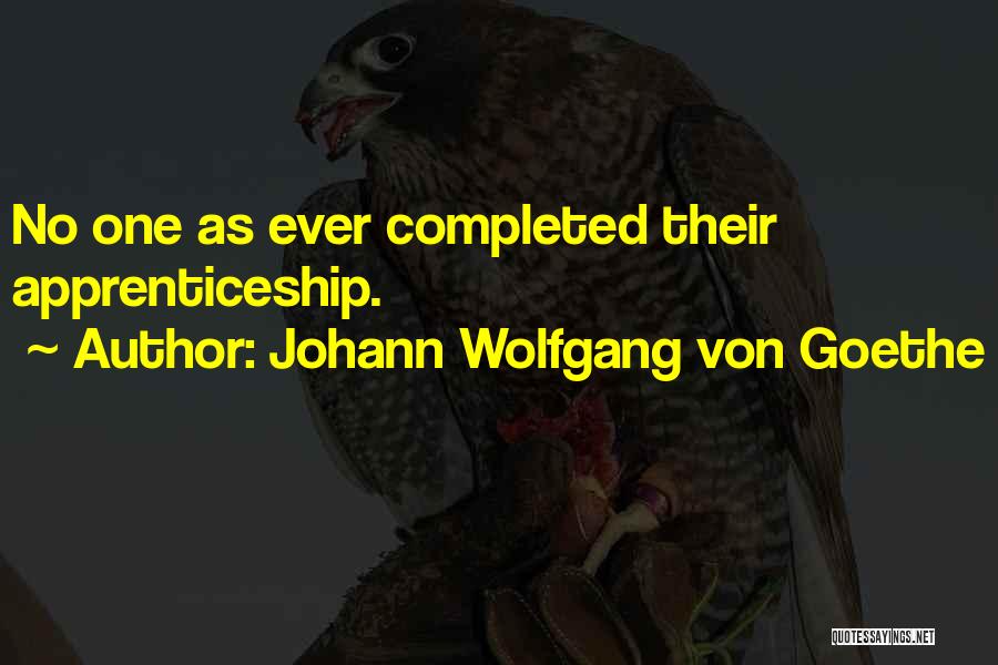 Johann Wolfgang Von Goethe Quotes: No One As Ever Completed Their Apprenticeship.