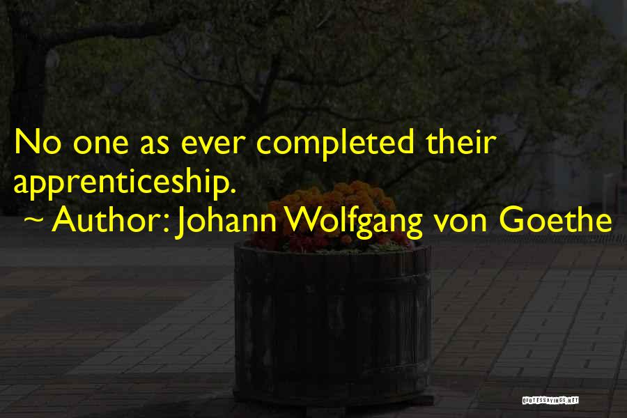 Johann Wolfgang Von Goethe Quotes: No One As Ever Completed Their Apprenticeship.