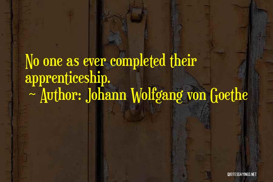 Johann Wolfgang Von Goethe Quotes: No One As Ever Completed Their Apprenticeship.