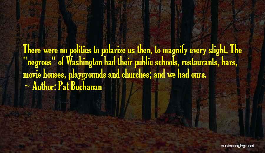Pat Buchanan Quotes: There Were No Politics To Polarize Us Then, To Magnify Every Slight. The Negroes Of Washington Had Their Public Schools,