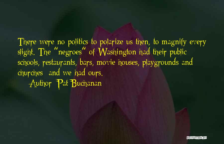 Pat Buchanan Quotes: There Were No Politics To Polarize Us Then, To Magnify Every Slight. The Negroes Of Washington Had Their Public Schools,