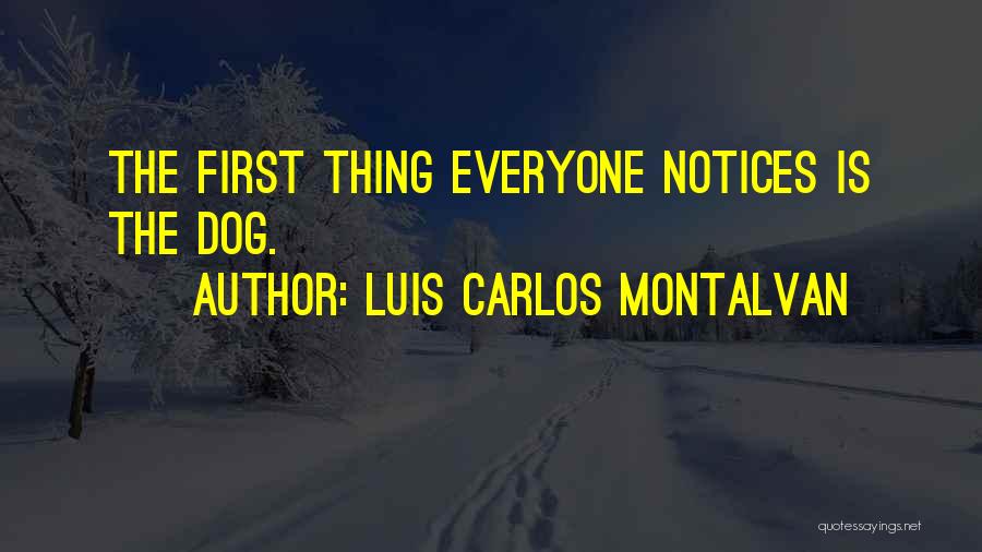 Luis Carlos Montalvan Quotes: The First Thing Everyone Notices Is The Dog.