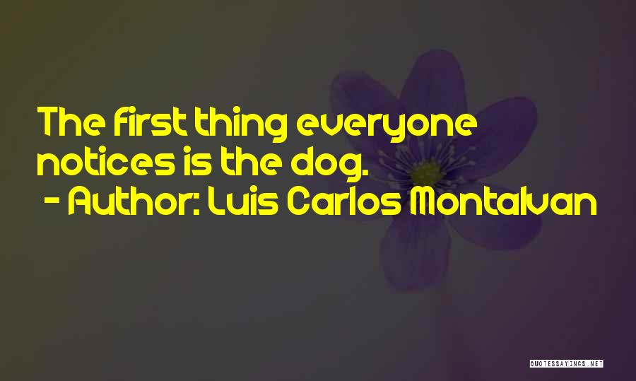 Luis Carlos Montalvan Quotes: The First Thing Everyone Notices Is The Dog.