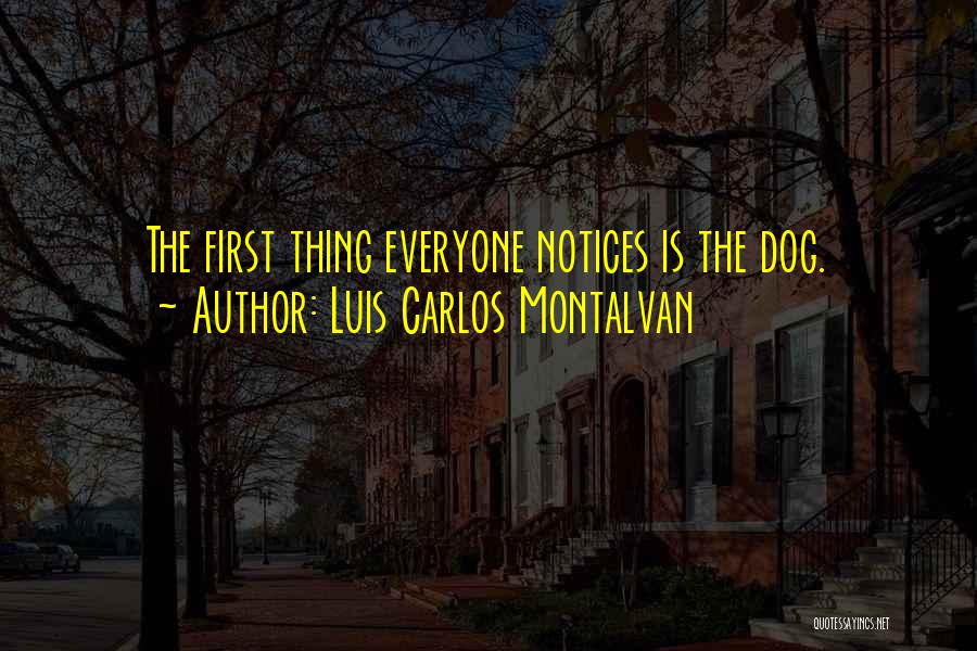 Luis Carlos Montalvan Quotes: The First Thing Everyone Notices Is The Dog.