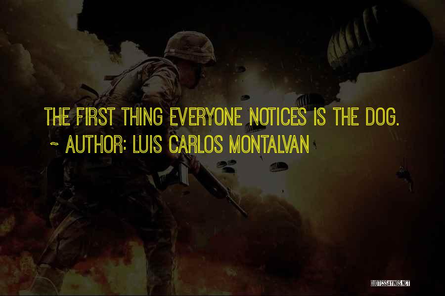 Luis Carlos Montalvan Quotes: The First Thing Everyone Notices Is The Dog.