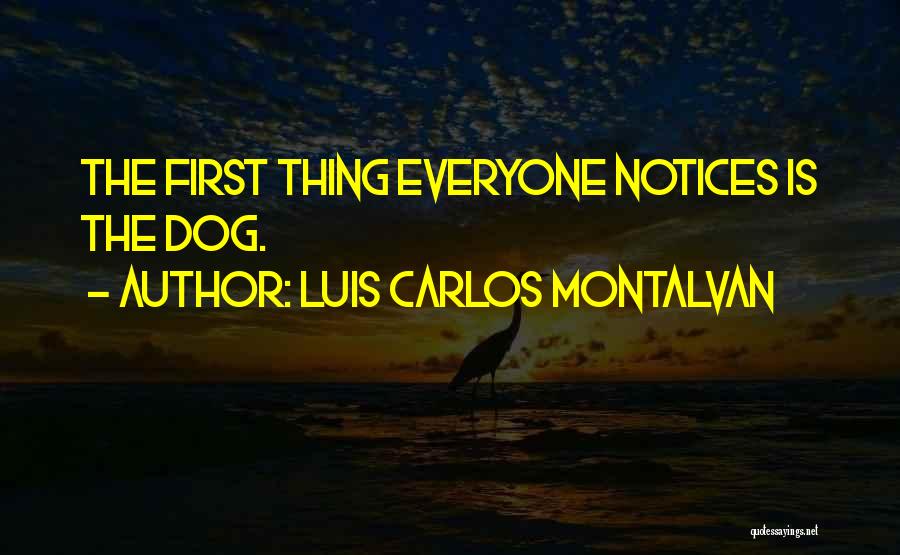 Luis Carlos Montalvan Quotes: The First Thing Everyone Notices Is The Dog.