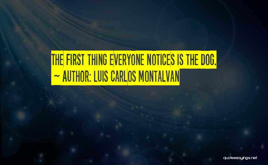 Luis Carlos Montalvan Quotes: The First Thing Everyone Notices Is The Dog.