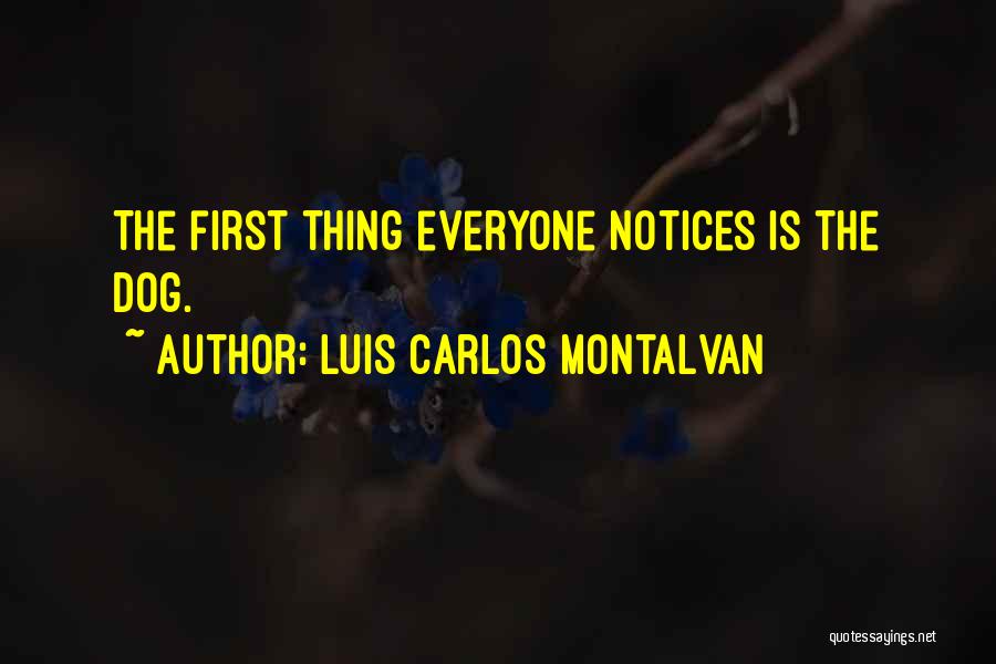 Luis Carlos Montalvan Quotes: The First Thing Everyone Notices Is The Dog.