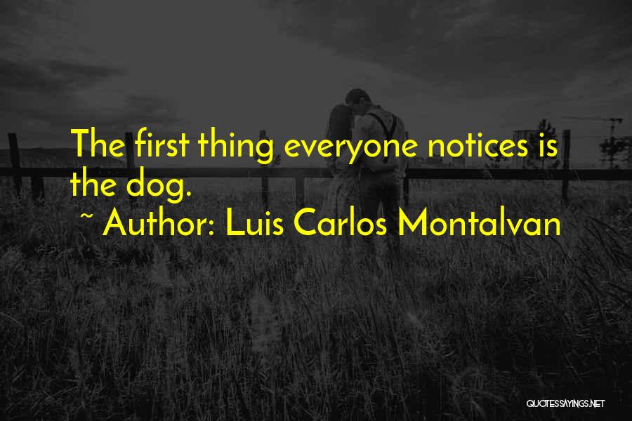 Luis Carlos Montalvan Quotes: The First Thing Everyone Notices Is The Dog.
