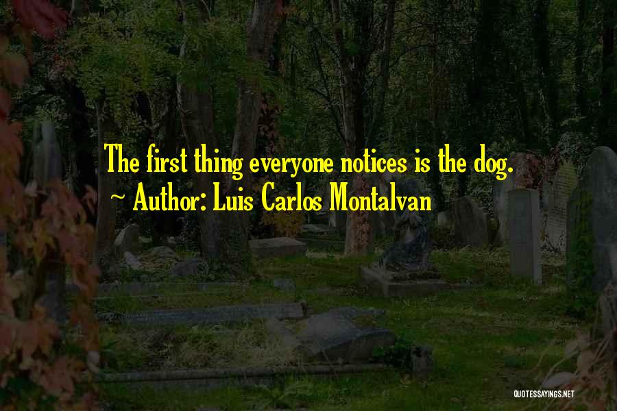 Luis Carlos Montalvan Quotes: The First Thing Everyone Notices Is The Dog.