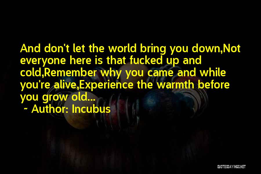 Incubus Quotes: And Don't Let The World Bring You Down,not Everyone Here Is That Fucked Up And Cold,remember Why You Came And