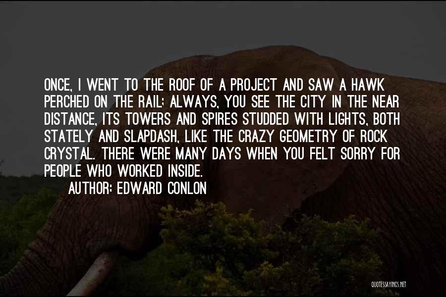 Edward Conlon Quotes: Once, I Went To The Roof Of A Project And Saw A Hawk Perched On The Rail; Always, You See