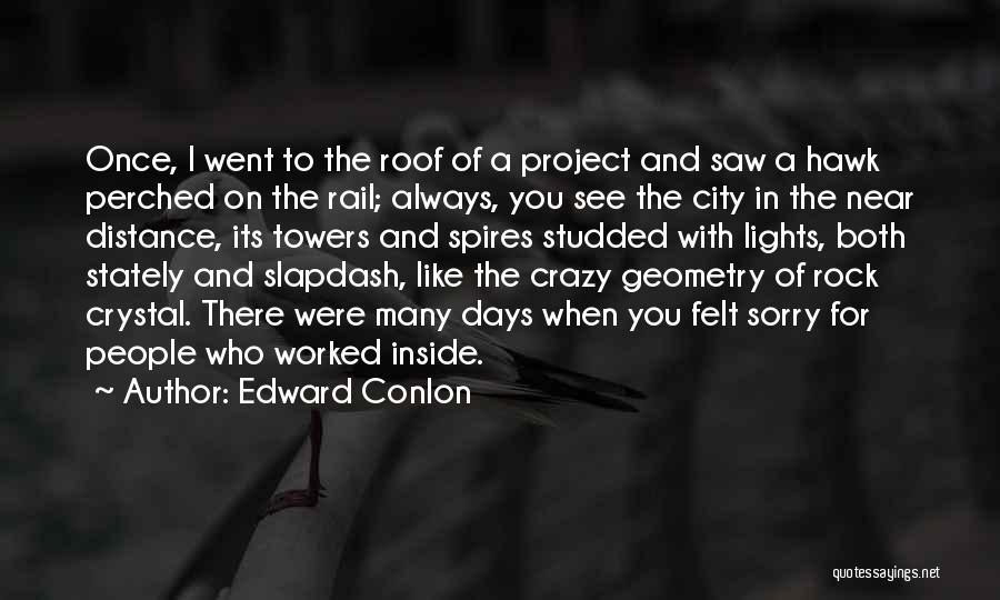 Edward Conlon Quotes: Once, I Went To The Roof Of A Project And Saw A Hawk Perched On The Rail; Always, You See