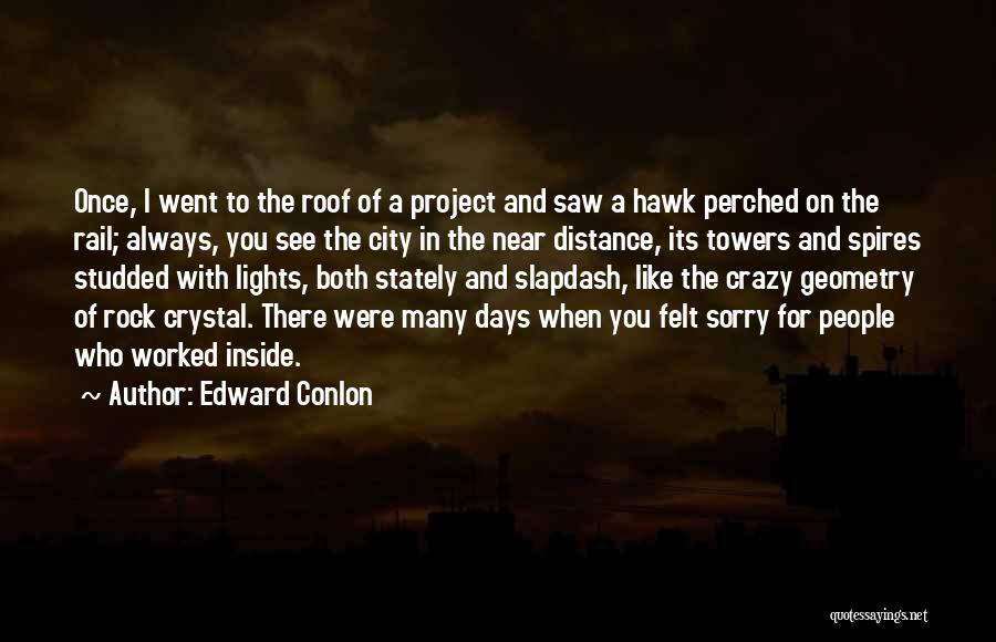 Edward Conlon Quotes: Once, I Went To The Roof Of A Project And Saw A Hawk Perched On The Rail; Always, You See