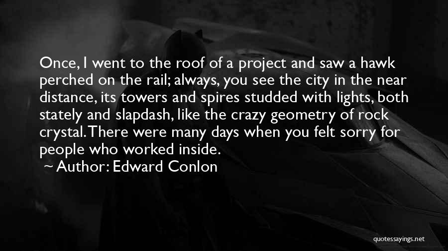 Edward Conlon Quotes: Once, I Went To The Roof Of A Project And Saw A Hawk Perched On The Rail; Always, You See