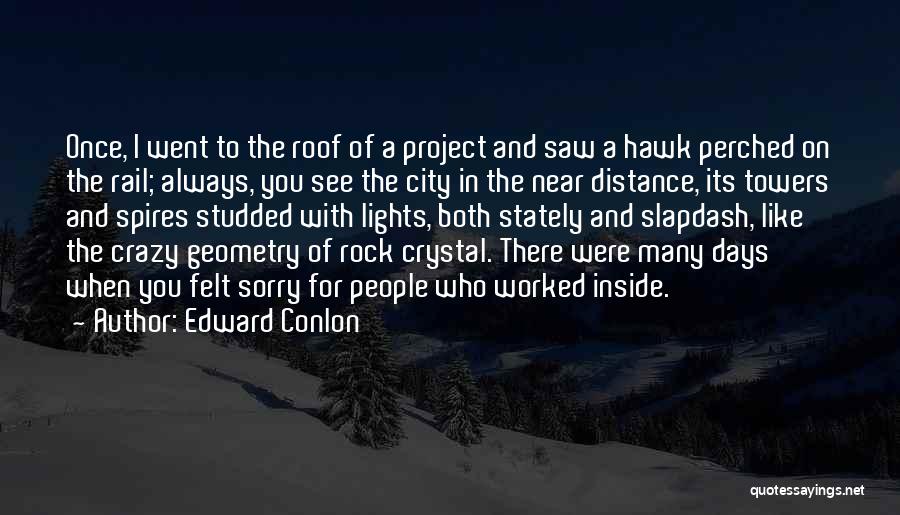 Edward Conlon Quotes: Once, I Went To The Roof Of A Project And Saw A Hawk Perched On The Rail; Always, You See