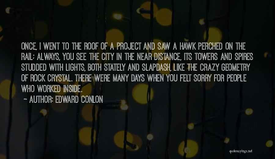 Edward Conlon Quotes: Once, I Went To The Roof Of A Project And Saw A Hawk Perched On The Rail; Always, You See