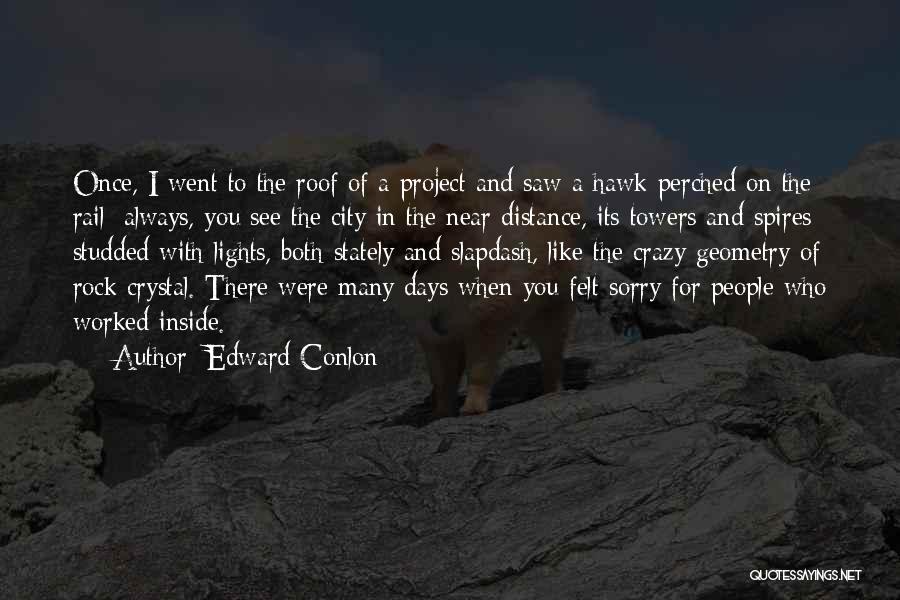 Edward Conlon Quotes: Once, I Went To The Roof Of A Project And Saw A Hawk Perched On The Rail; Always, You See