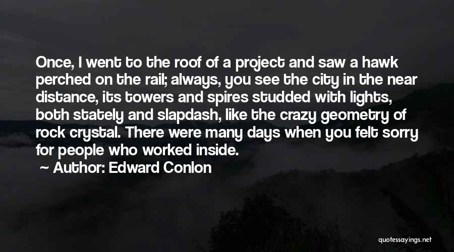 Edward Conlon Quotes: Once, I Went To The Roof Of A Project And Saw A Hawk Perched On The Rail; Always, You See