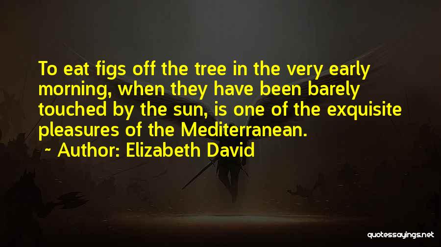 Elizabeth David Quotes: To Eat Figs Off The Tree In The Very Early Morning, When They Have Been Barely Touched By The Sun,