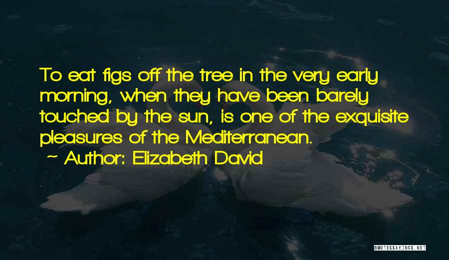 Elizabeth David Quotes: To Eat Figs Off The Tree In The Very Early Morning, When They Have Been Barely Touched By The Sun,