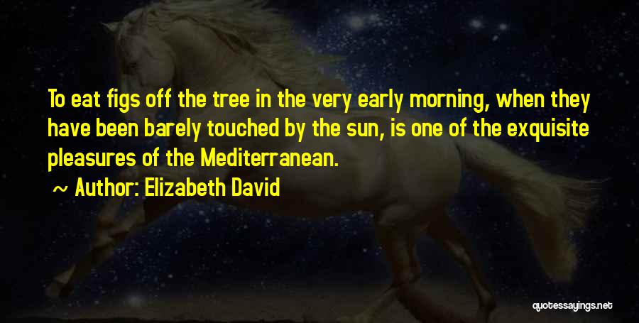 Elizabeth David Quotes: To Eat Figs Off The Tree In The Very Early Morning, When They Have Been Barely Touched By The Sun,