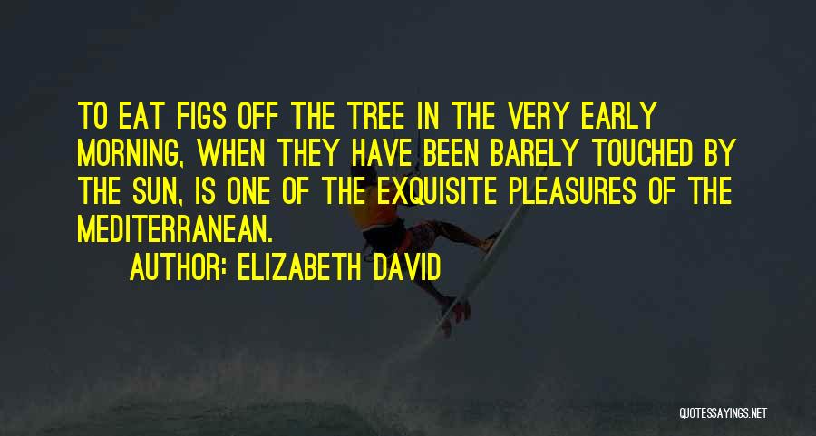 Elizabeth David Quotes: To Eat Figs Off The Tree In The Very Early Morning, When They Have Been Barely Touched By The Sun,