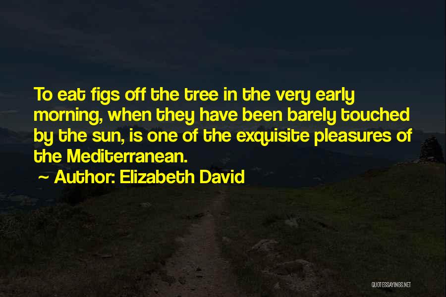 Elizabeth David Quotes: To Eat Figs Off The Tree In The Very Early Morning, When They Have Been Barely Touched By The Sun,