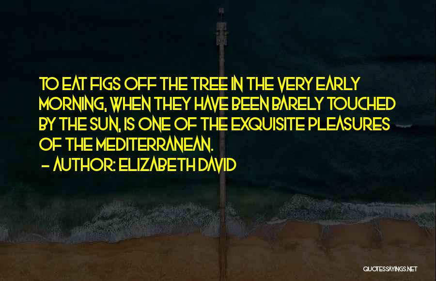 Elizabeth David Quotes: To Eat Figs Off The Tree In The Very Early Morning, When They Have Been Barely Touched By The Sun,