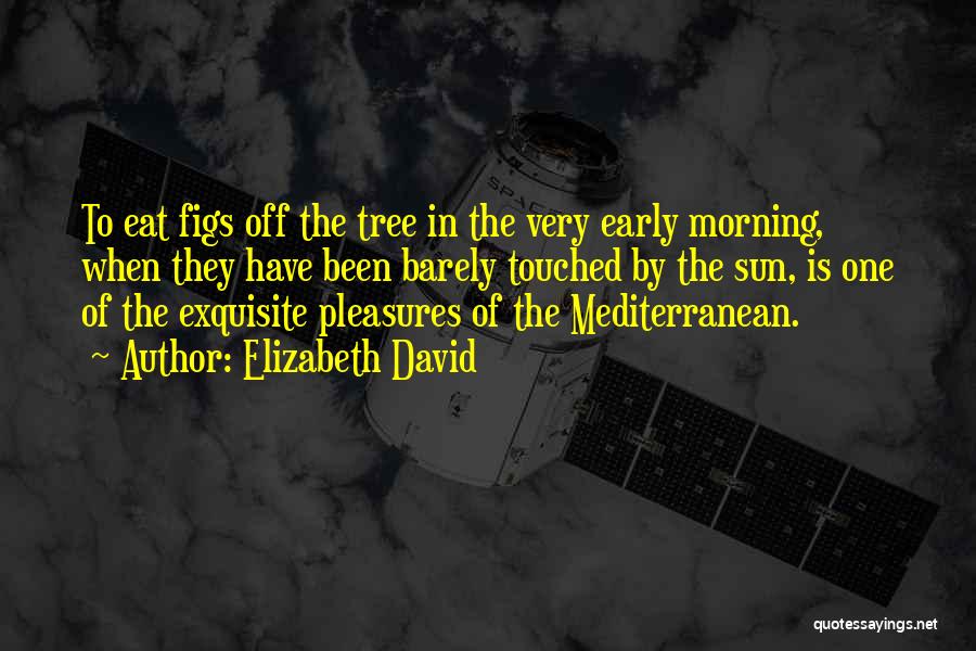 Elizabeth David Quotes: To Eat Figs Off The Tree In The Very Early Morning, When They Have Been Barely Touched By The Sun,