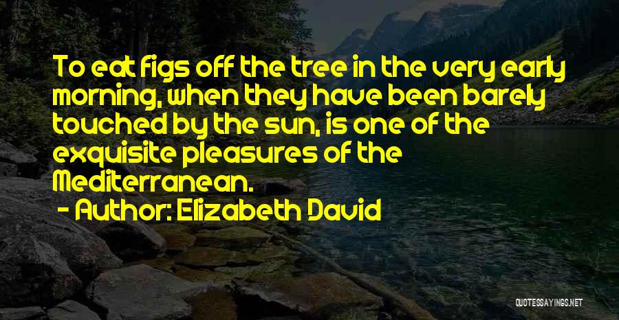 Elizabeth David Quotes: To Eat Figs Off The Tree In The Very Early Morning, When They Have Been Barely Touched By The Sun,