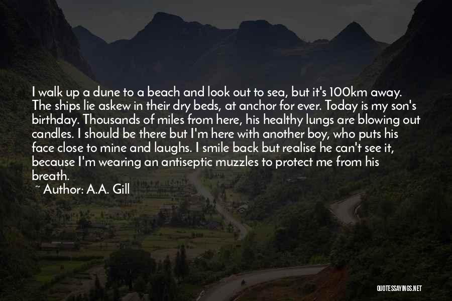 A.A. Gill Quotes: I Walk Up A Dune To A Beach And Look Out To Sea, But It's 100km Away. The Ships Lie