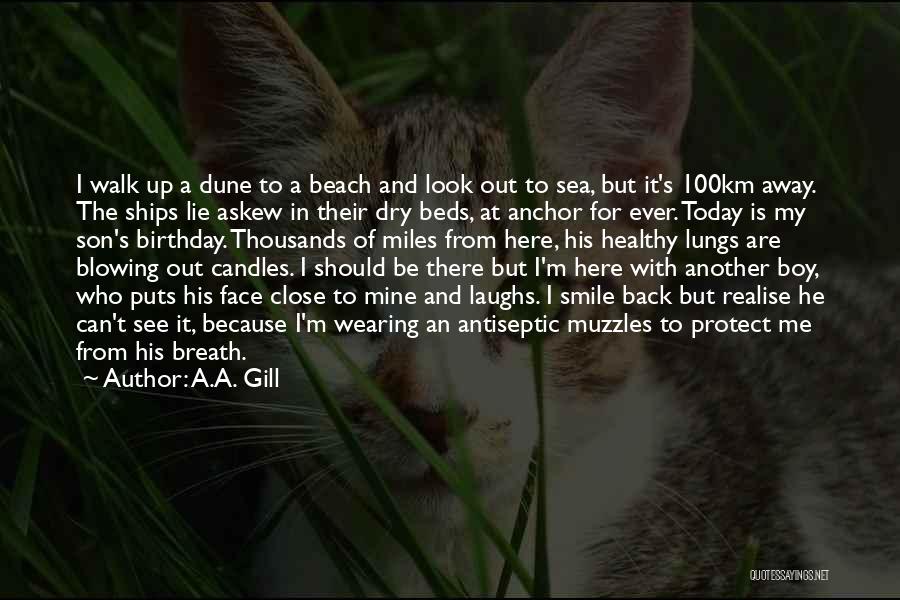 A.A. Gill Quotes: I Walk Up A Dune To A Beach And Look Out To Sea, But It's 100km Away. The Ships Lie