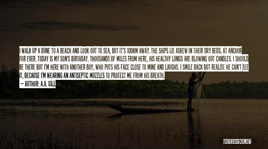 A.A. Gill Quotes: I Walk Up A Dune To A Beach And Look Out To Sea, But It's 100km Away. The Ships Lie