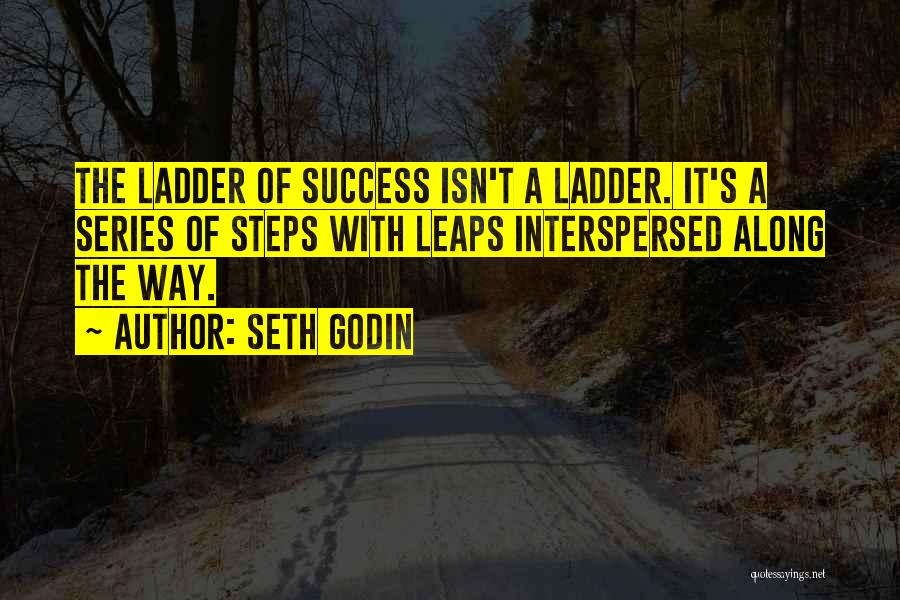 Seth Godin Quotes: The Ladder Of Success Isn't A Ladder. It's A Series Of Steps With Leaps Interspersed Along The Way.